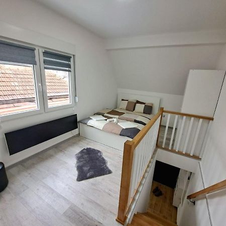Mini Duplex Apartman Dusanovac Exterior photo